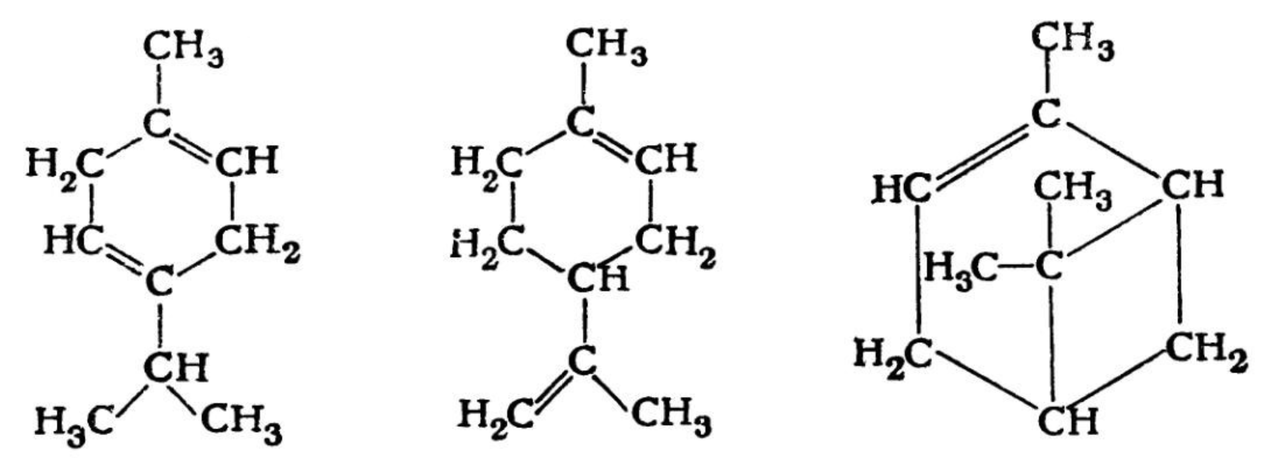 Terpene formula Zenidol kreman
